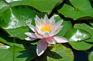 Similar image 653701