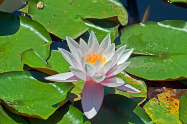 Similar image 653702