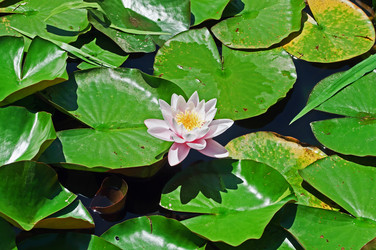 Similar image 653703