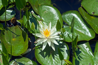 Similar image 653704