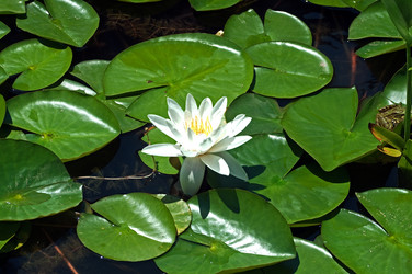 Similar image 653705