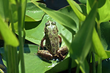 Similar image 653723