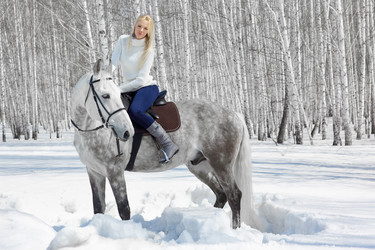 Similar image 653733