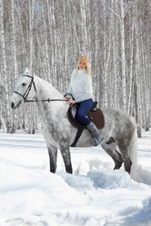 Similar image 653734