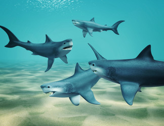 Similar image 653767