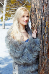 Similar image 653782