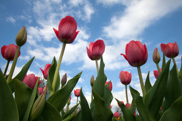 Similar image 653786