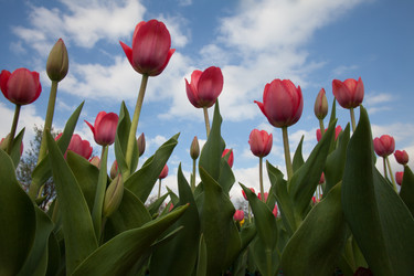 Similar image 653787