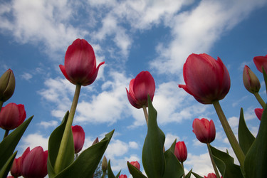 Similar image 653788