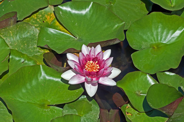 Similar image 653792