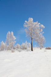 Similar image 653811