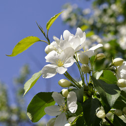 Similar image 653815