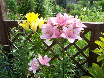 Similar image 653816