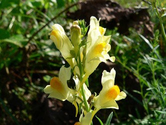 Similar image 653820