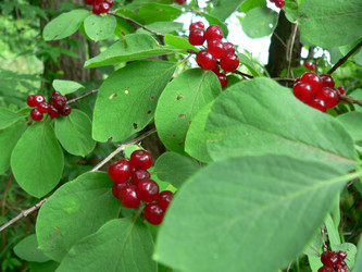 Similar image 653822