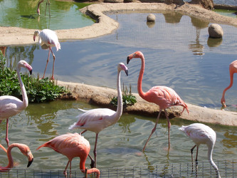 Similar image 653832