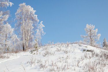 Similar image 653989