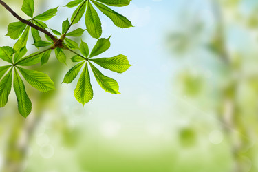 Similar image 654004