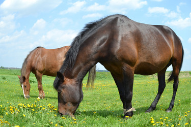 Similar image 654006