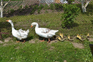 Similar image 654008