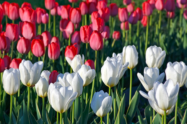 Similar image 654033