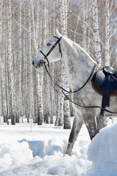 Similar image 654102