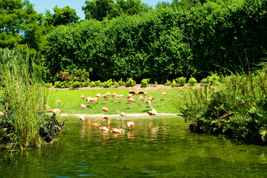 Similar image 654116