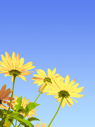 Similar image 654183