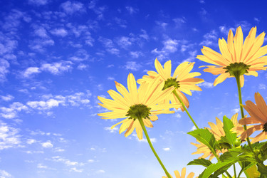 Similar image 654184