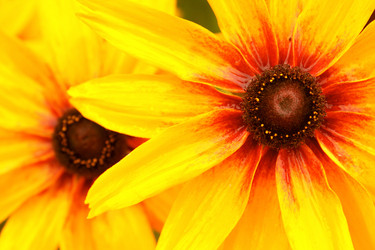 Similar image 654185