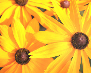 Similar image 654186