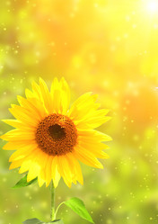 Similar image 654197