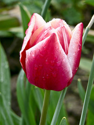 Similar image 654283