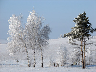 Similar image 654287