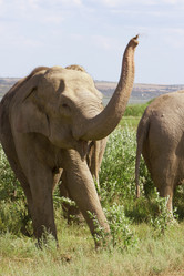 Similar image 654302