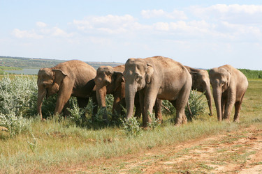 Similar image 654305