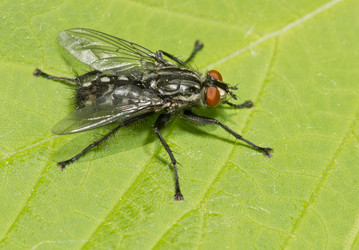 Similar image 654315