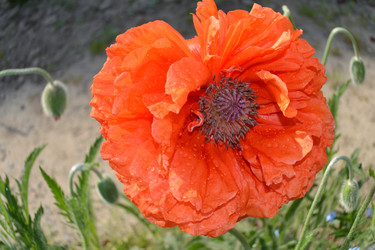 Similar image 654343