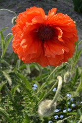 Similar image 654346