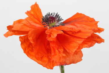 Similar image 654357