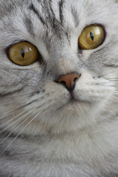 Similar image 654362