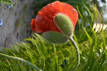 Similar image 654388