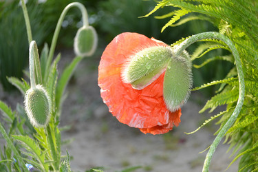 Similar image 654396