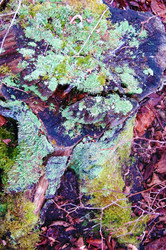 Similar image 654414