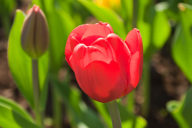 Similar image 654433