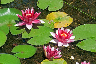 Similar image 654470