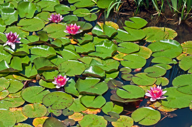 Similar image 654471