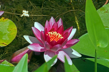 Similar image 654472