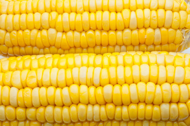 Similar image 654484