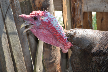 Similar image 654500